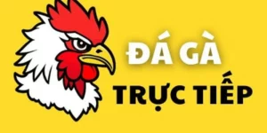 đá gà trực tiếp