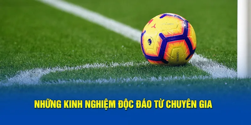 Loạt kinh nghiệm độc đáo từ nhiều chuyên gia