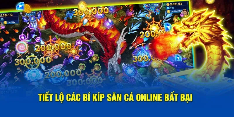 Tiết lộ các bí kíp săn cá online bất bại