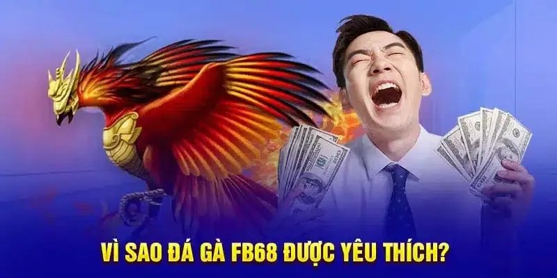 Tìm hiểu lý do vì sao đá gà FB68 lại được nhiều người yêu thích và tin tưởng